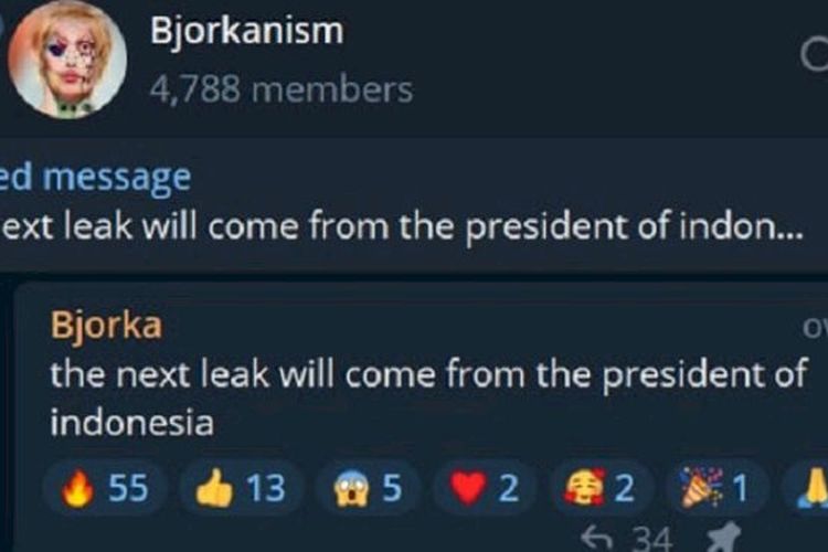 Data Presiden Jokowi Jadi Target Baru Hacker Bjorka