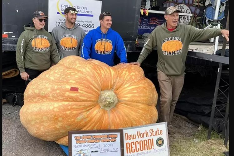 Petani di New York Pecahkan Rekor Labu Seberat 1.158 Kilogram