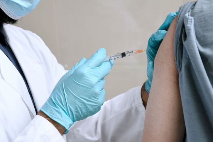 Dinkes Pagar Alam Sediakan 150 Vaksin Usai Kasus Jagal 100 Kucing