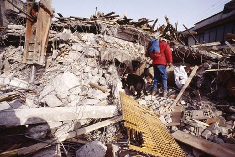 Seribu Rumah Tahan Gempa Bakal Dibangun di Afghanistan