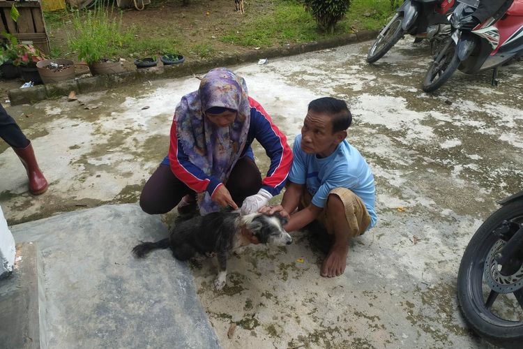 Ratusan Anjing, Kucing dan Kera di OKU Disuntik Vaksin