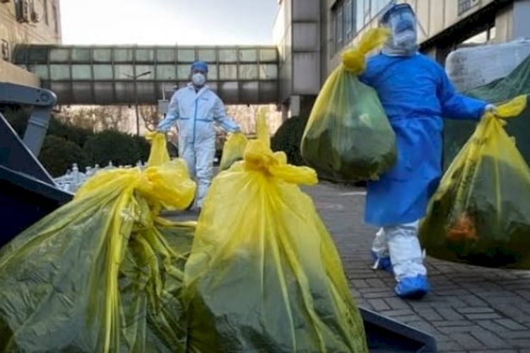 Terserang Flu Burung, 220 Ribu Ayam di Eropa Dimusnahkan