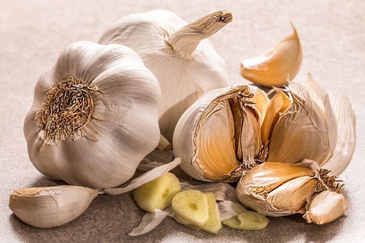 5 Tanaman Herbal yang Ampuh Turunkan Kadar Kolesterol