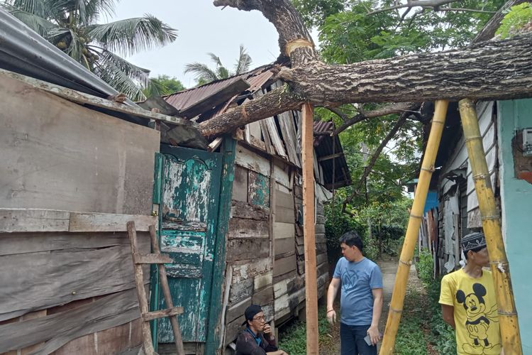 Dua Rumah di Puncak Sekuning Tertimpa Pohon Tumbang