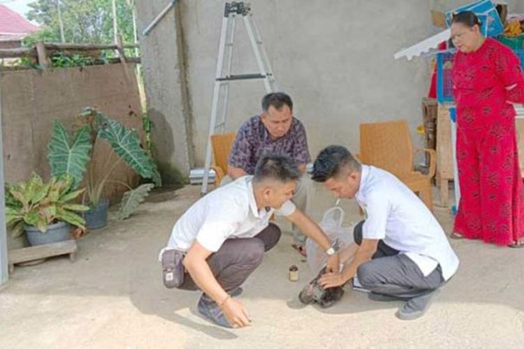 Puluhan Ayam di Empat Lawang Mati, Ada Apa?
