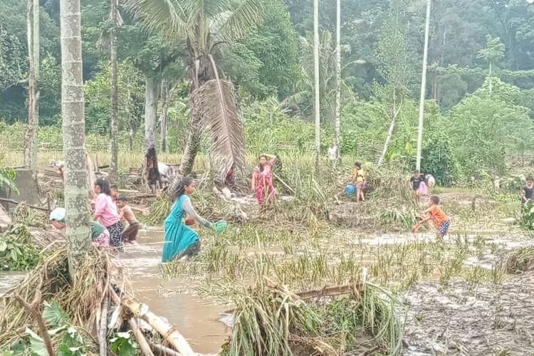 Dampak Banjir Bandang di Lahat, 10 Hektare Sawah di Muara Enim Terendam