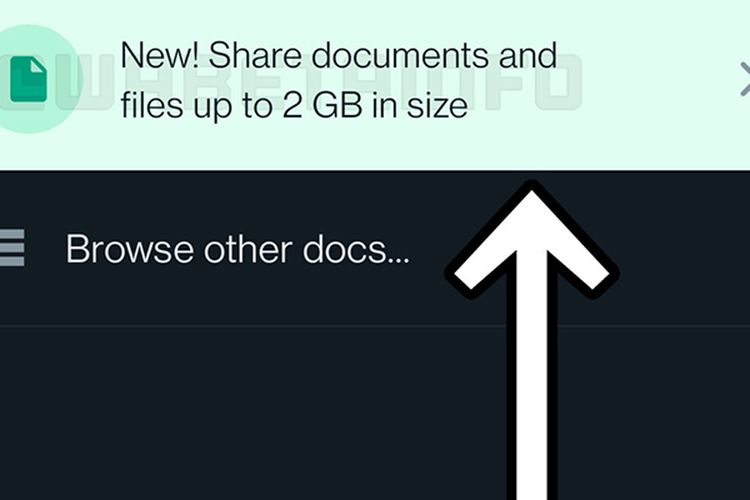 Update Terbaru, WA Bisa Kirim File Hingga 2Gb