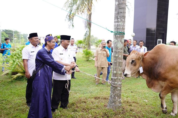34 Sapi dan Tiga Kambing Disalurkan Pemkab Muba untuk Kurban di Hari Raya Idul Adha