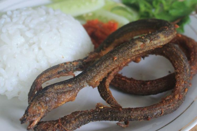 Belut Kaya Nutrisi, Ini 9 Manfaat untuk Kesehatan