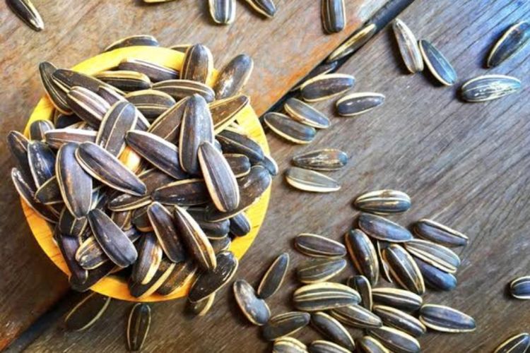 Catat! Ini Cemilan untuk Diet, Bisa Bikin Badan Langsing