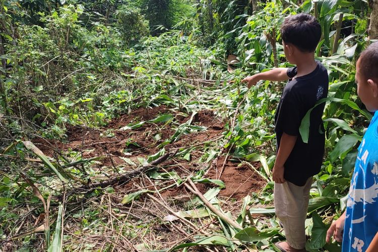 Masuk Permukiman dan Mangsa Ayam, Beruang Liar di Pagaralam Tewas di Tangan Warga