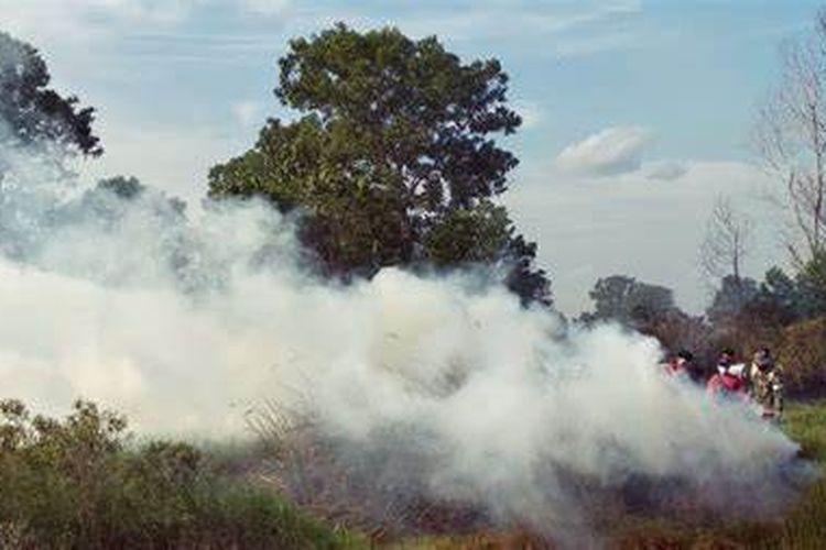 Hotspot Sumsel Diklaim Turun, Kualitas Udara di Palembang Masih Tidak Sehat
