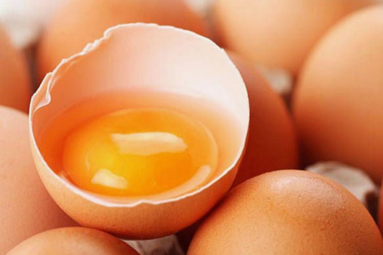 Telur Angsa Baik untuk Organ Reproduksi