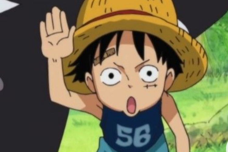 Ini 3 Asal Usul Ibu Kandung Luffy versi Fans