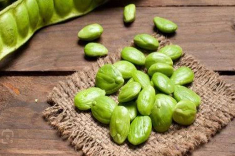 Jangan Diremehkan! Ini Manfaat Petai untuk Kesehatan