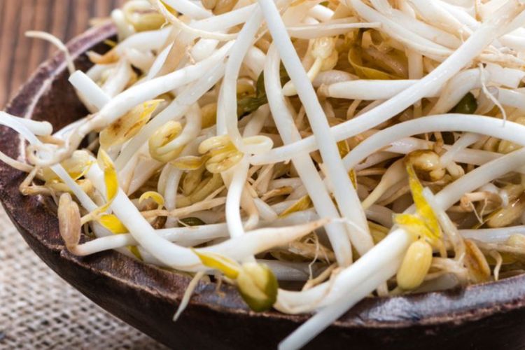 Sering Ditemui di Bakso, Ini 12 Manfaat Melimpah Sayur Tauge