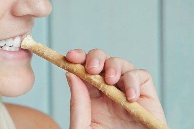 13 Manfaat Siwak untuk Kesehatan Gigi dan Mulut