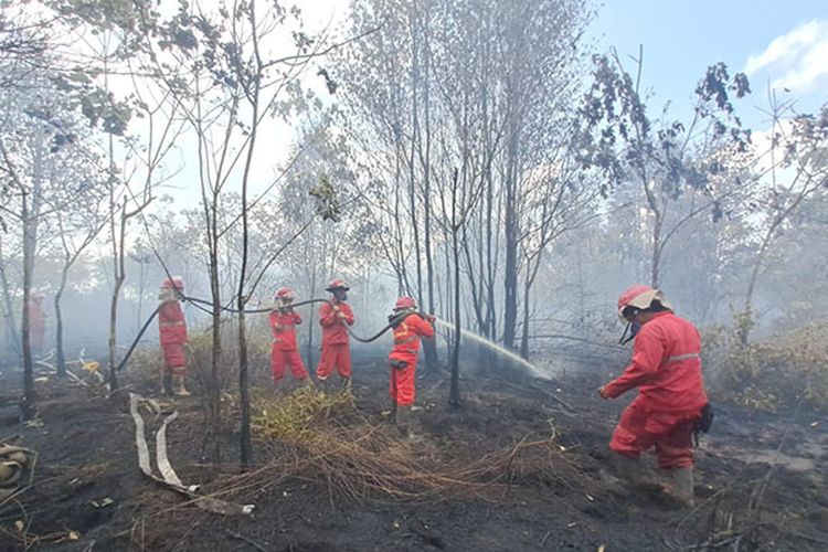 Tinggi Muka Air Tanah Mulai Berkurang, Kebakaran di Lahan Gambut Mulai Sulit Dipadamkan