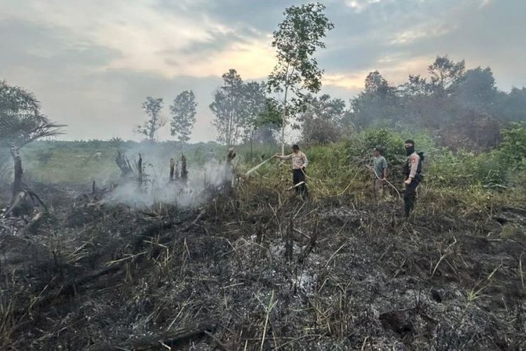 16 Kasus Karhutla Ditangani Polda Sumsel, 31 Orang Jadi Tersangka