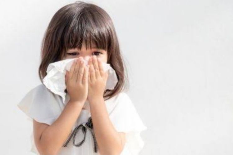 Cuaca Panas-Lembap Bikin Flu Singapura Mudah Menyebar di Sumsel