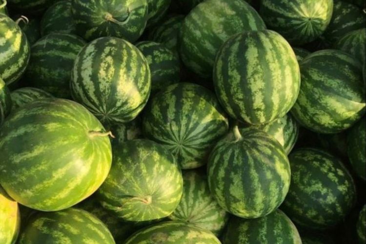 Ini 6 Makanan Bisa Atasi Disfungsi Ereksi