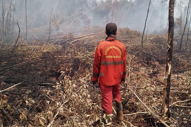 Kualitas Udara Palembang Makin Memburuk Akibat Asap Karhutla