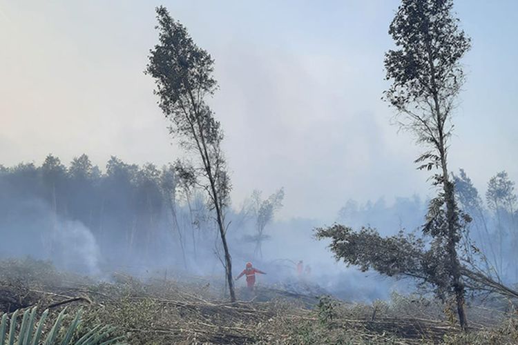Polusi Udara di Palembang Terparah se Indonesia, Ini Penyebabnya
