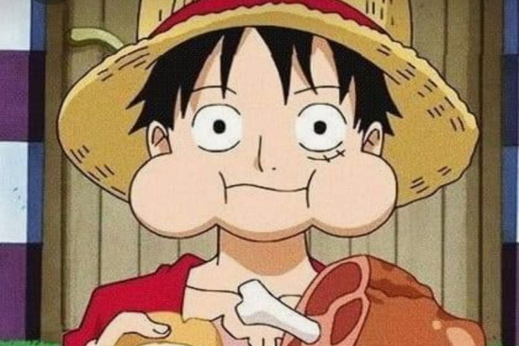 Hindari Nakama Mati Kelaparan, Kulkas di Kapal Thousand Sunny Dipasang Password