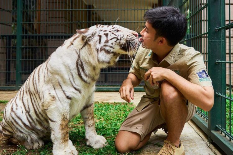 Ini 7 Bahaya Pelihara Hewan Buas di Rumah