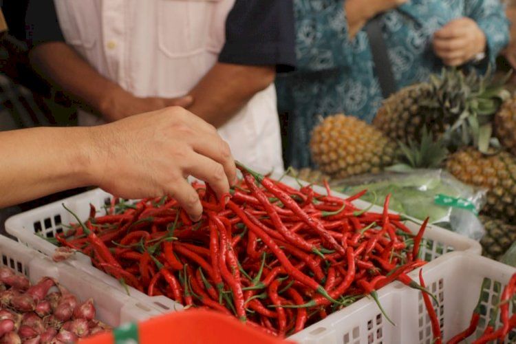 Harga Cabai di Sumsel Berfluktuasi, Tembus Rp100 Ribu per Kilogram