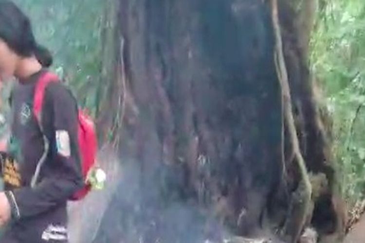 Jalur Pendakian Gunung Dempo Nyaris Terbakar, Diduga Akibat Oknum Pendaki