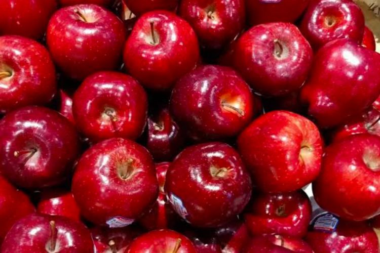 Berikut Buah-buahan yang Cocok Temani di Awal Hari