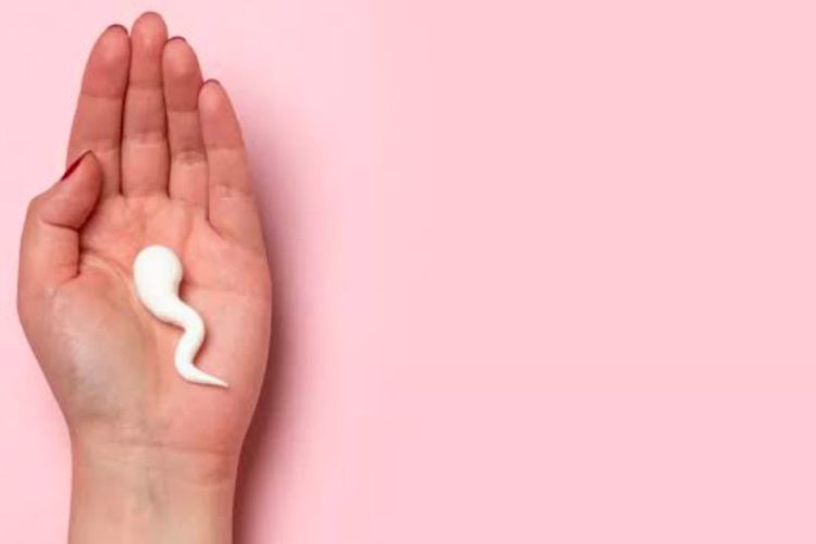 Pria Wajib Tahu! Ini 3 Penyebab Sperma Tidak Masuk Indung Telur