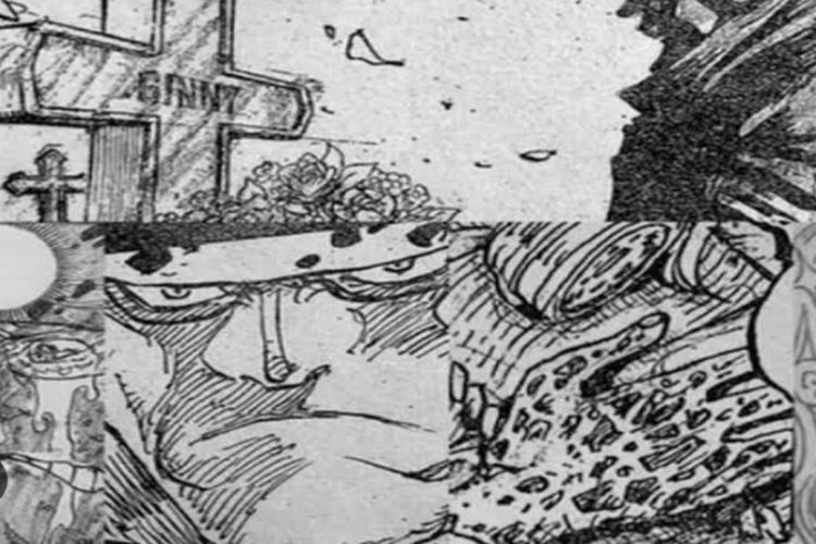 Ini 3 Penyakit Bebahaya di One Piece