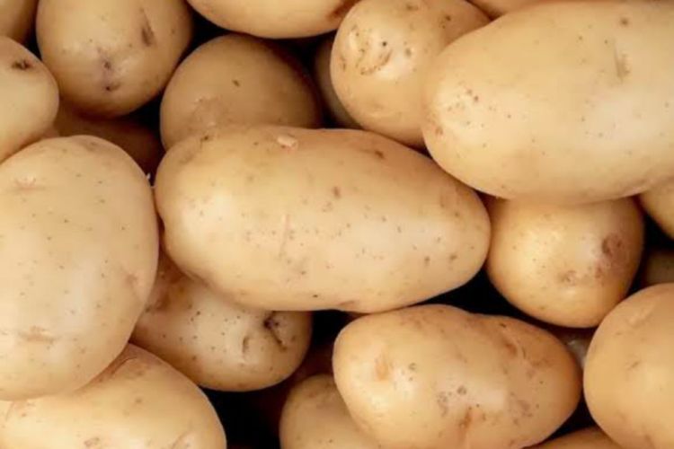 Ini 7 Makanan Mengandung Alkohol Kalian Harus Tahu