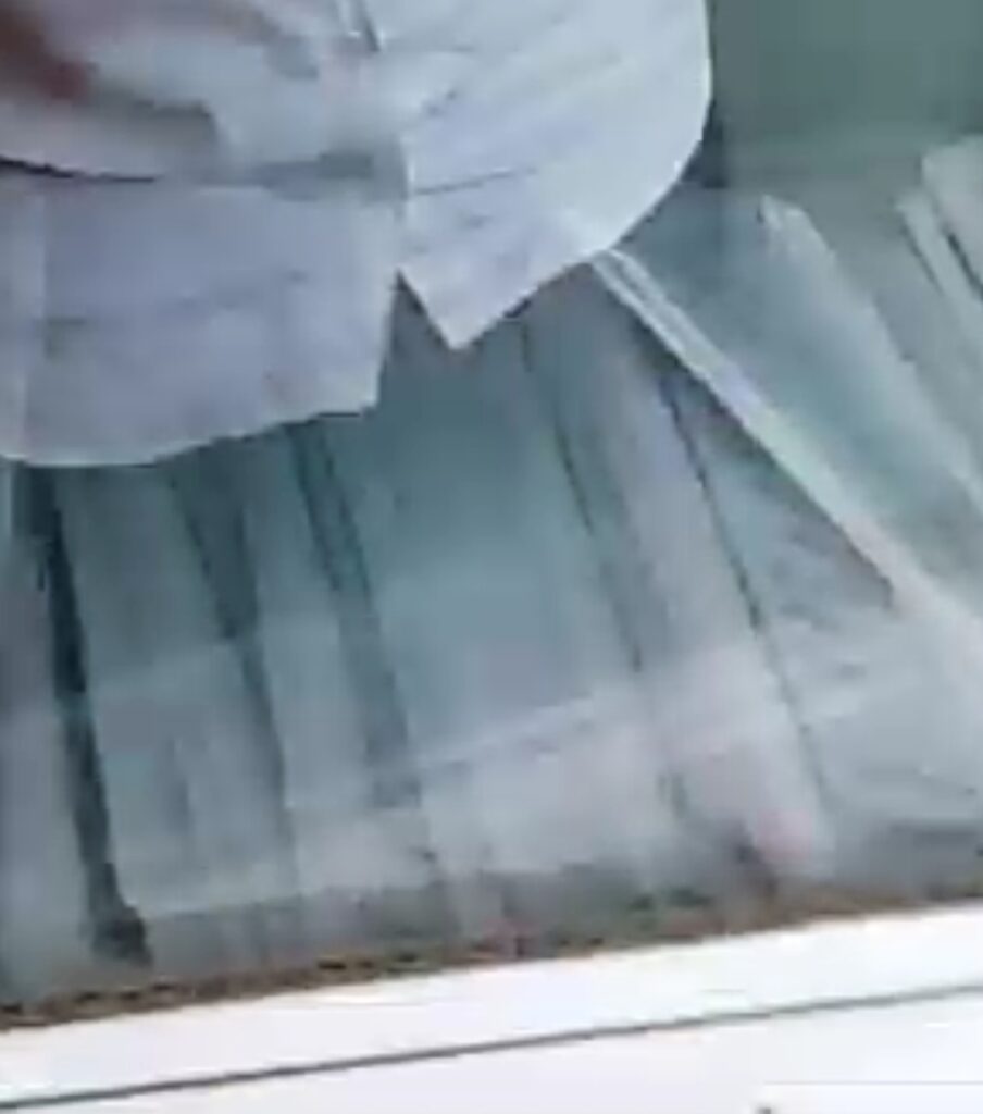 Video Viral Tuding Kecurangan Pemilu di Sumsel, Bawaslu Selidiki Kejadian