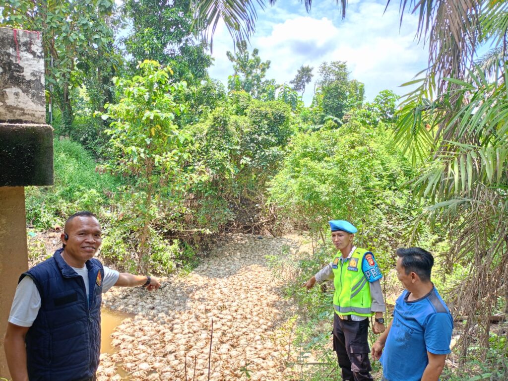 Usut Kasus Ribuan Bangkai Ayam di Sungai, DLH Musi Rawas Ambil Sampel Air