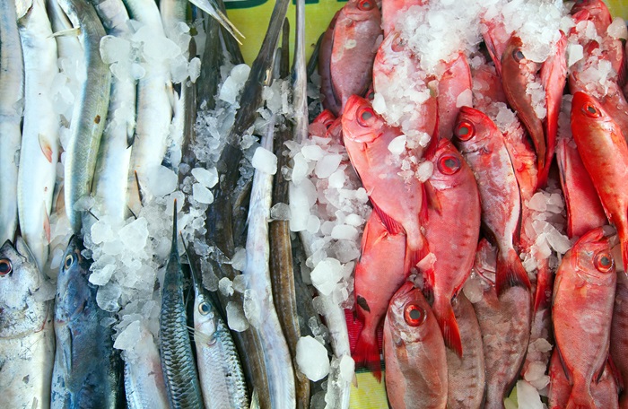 Permintaan Meningkat Saat Idulfitri 1445 H, Stok Ikan Tetap Aman