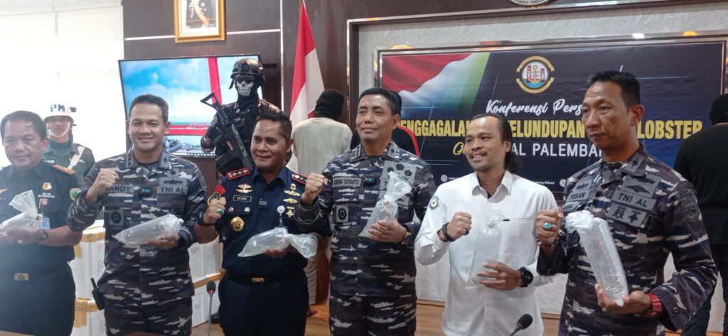 TNI AL Gagalkan Penyelundupan 99.648 Benih Lobster, 4 Pelaku Diamankan
