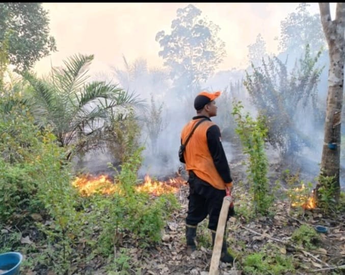 10 Hektare Lahan Perusahaan di Muba Terbakar