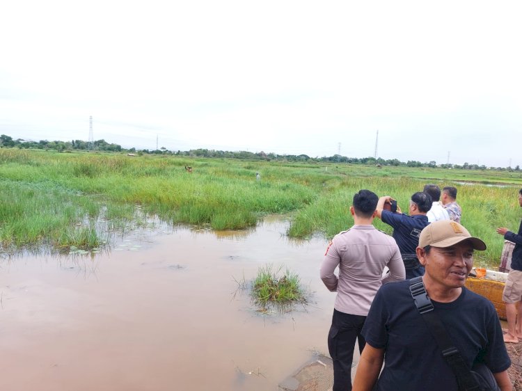 Pria di Palembang Ditemukan Meninggal di Rawa-Rawa, Diduga Kesetrum Saat Mencari Ikan