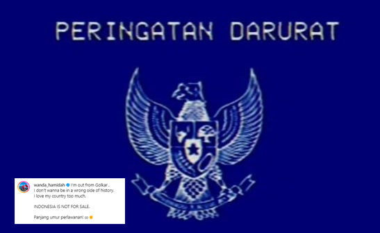 Unggah Peringatan Darurat, Wanda Hamidah Umumkan Keluar dari Partai Golkar