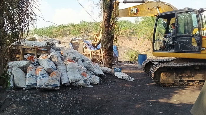 Kejaksaan Agung Ajukan Kasasi atas Vonis Bebas Terdakwa Penambangan Emas Ilegal Asal China