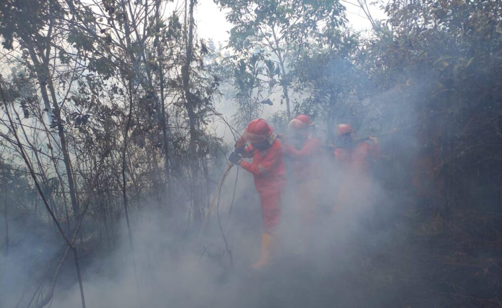 Warga Palembang Mulai Rasakan Bau Asap Karhutla, Kualitas Udara Menurun