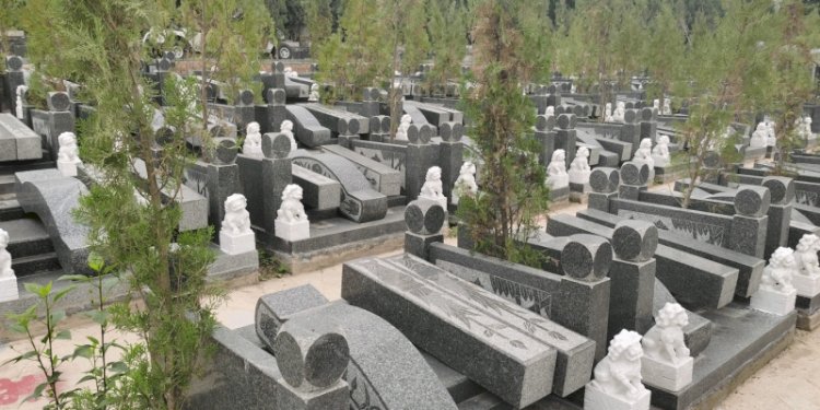 Perusahaan China Diduga Curi 4.000Mayat untuk Cangkok Tulang