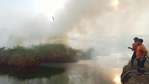 PALI Tetapkan Siaga Karhutla, Enam Daerah di Sumsel Kini Waspada Hadapi Puncak Kemarau