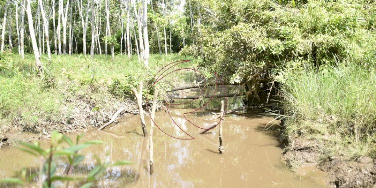 Masalah Sungai Penimur Tak Digubris, BBWSS Layangkan Teguran Kedua ke PT Lematang Coal Lestari