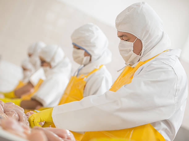 Harga Protein Bertahan Tinggi di Palembang, Program MBG dan Cuaca Jadi Pemicu