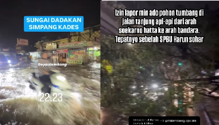 Dilanda Hujan Deras, Sejumlah Wilayah di Palembang Terendam Banjir, Hingga Pohon Tumbang
