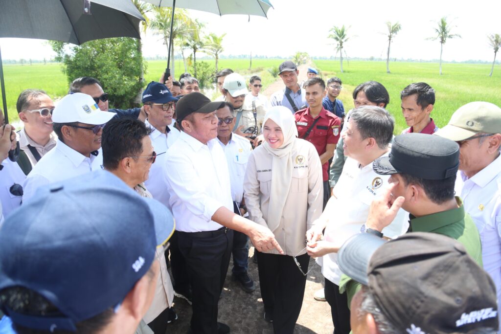 Gubernur Sumsel Dampingi Komisi IV DPR RI Tinjau Optimalisasi Lahan di Banyuasin